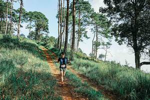 BIB: 
                            <button type="button" onclick="openModal(25677148)" class="btn btn-primary btn-sm float-right btn-popup" data-toggle="modal" data-target=".modal-high-quality">
                        <i class="fas fa-shopping-cart"></i> Add to Cart
                    </button>
                                            <button type="button" onclick="isThisMe(25677148, true)" class="btn btn-success btn-sm float-right btn-popup btn-isme hidden" data-toggle="tooltip" data-placement="bottom" title="นี่คือรูปของคุณใช่ไหม คลิกที่นี่เพื่อเอาเข้าอัลบั้ม">
                        <i class="fas fa-plus"></i> Add to album
                    </button>
                    <button type="button" onclick="isThisMe(25677148, false)" class="btn btn-warning btn-sm float-right btn-popup btn-isnotme hidden">
                        <i class="fas fa-ban"></i> Remove from album
                    </button>